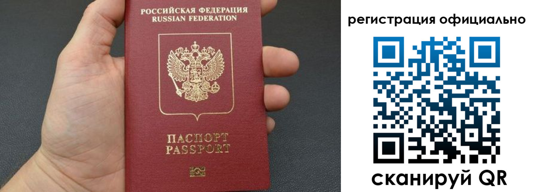 прописка в Ярославской области